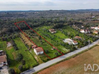 Acheter Terrain 5800 m2 Ferreira-do-zezere