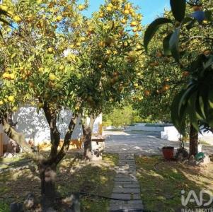 Acheter Maison 32767 m2 Castelo-branco