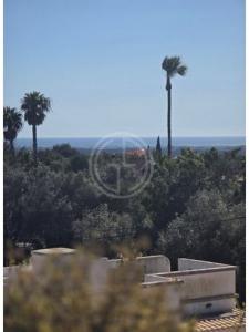 Annonce Vente Terrain Faro