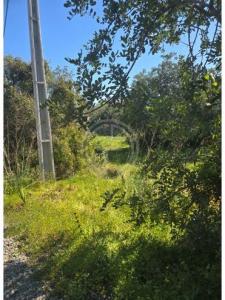 Acheter Terrain Faro r�gion FARO