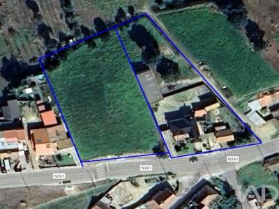 Acheter Terrain Bombarral r�gion LEIRIA
