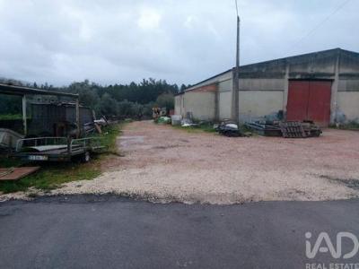 Acheter Local industriel 775 m2 Porto-de-mos