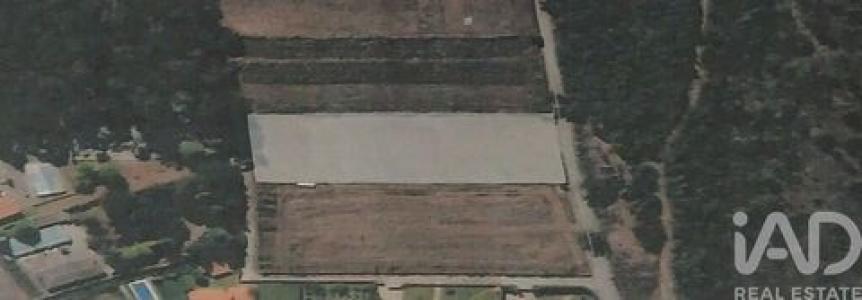 Acheter Terrain 2954 m2 Esposende