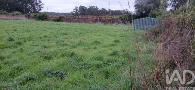 Acheter Terrain Esposende r�gion BRAGA
