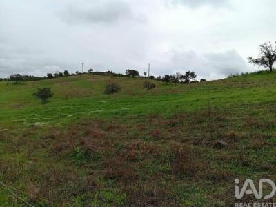 Annonce Vente Terrain Loule