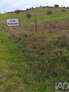 Acheter Terrain 8880 m2 Loule