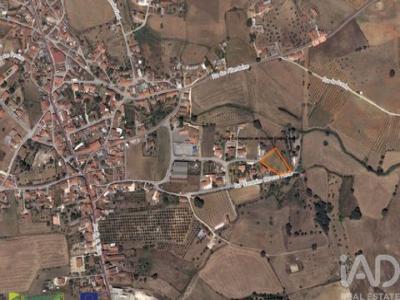 Annonce Vente Terrain Santarem