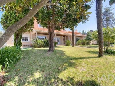 Annonce Vente Maison Pombal