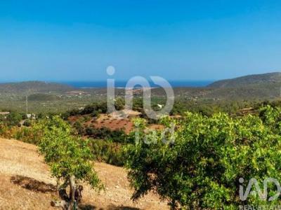 Acheter Maison Sao-bras-de-alportel r�gion FARO