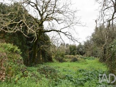 Acheter Maison 160 m2 Ferreira-do-zezere