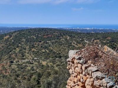 Annonce Vente Maison Loule