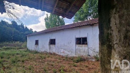 Acheter Maison 3294 m2 Batalha