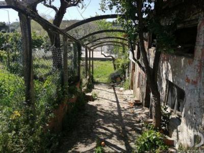 Acheter Maison Ansiao r�gion LEIRIA