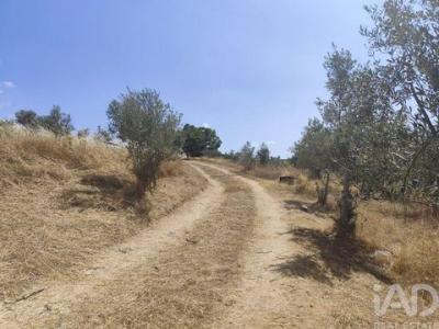 Vente Maison Mogadouro  04 au Portugal