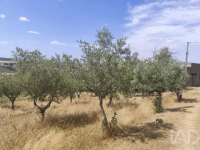 Annonce Vente Maison Mogadouro