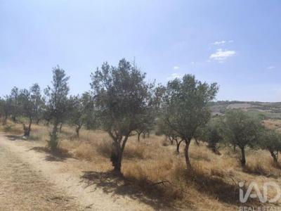 Acheter Maison 144 m2 Mogadouro