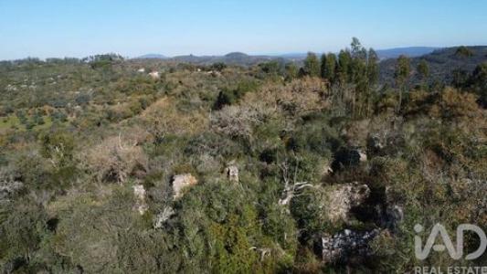 Acheter Maison Ourem r�gion SANTAREM