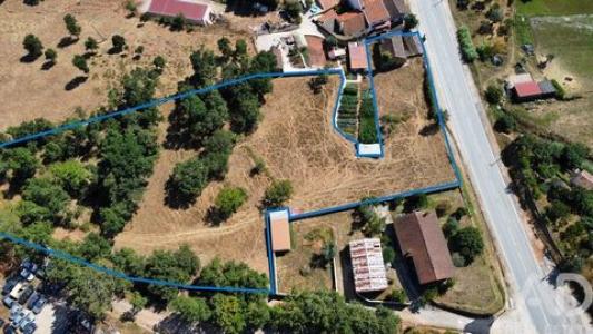 Acheter Maison 115 m2 Penela