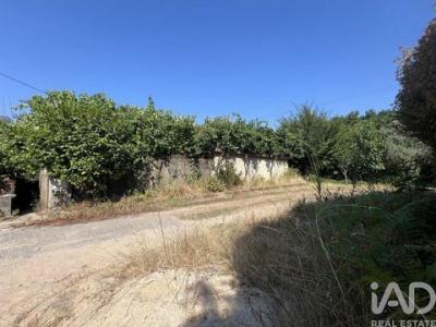 Annonce Vente Maison Penela