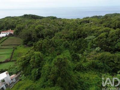 Acheter Maison 229 m2 Lajes-do-pico