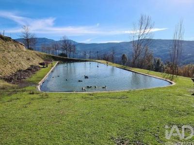 Annonce Vente Maison Oliveira-do-hospital