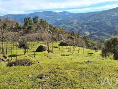 Acheter Maison 32320 m2 Oliveira-do-hospital