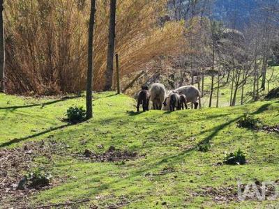 Acheter Maison Oliveira-do-hospital r�gion COIMBRA