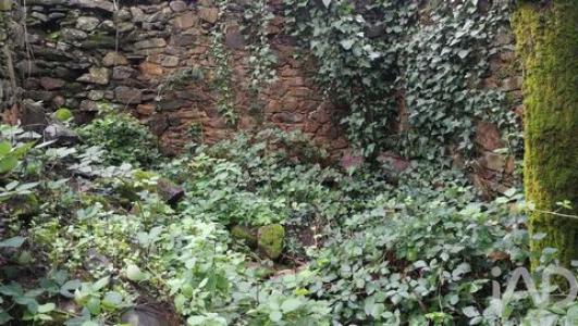 Acheter Maison Gois r�gion COIMBRA