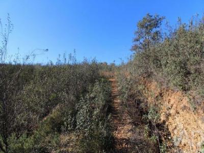 Acheter Maison Silves r�gion FARO