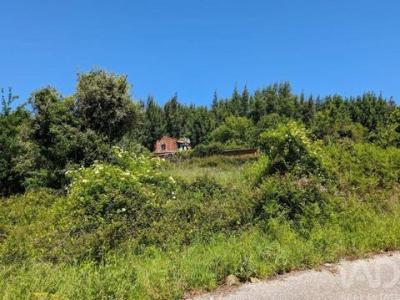 Acheter Maison Pedrogao-grande r�gion LEIRIA