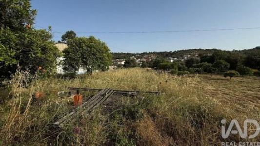 Acheter Maison 231 m2 Santarem