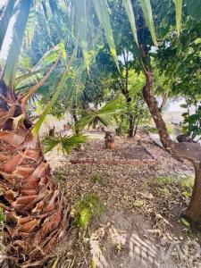 Annonce Vente Maison Palmela