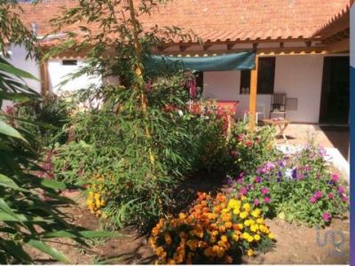 Acheter Maison 150 m2 Odemira