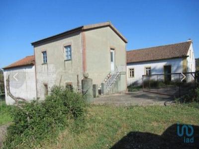 Acheter Maison 110 m2 Marvao