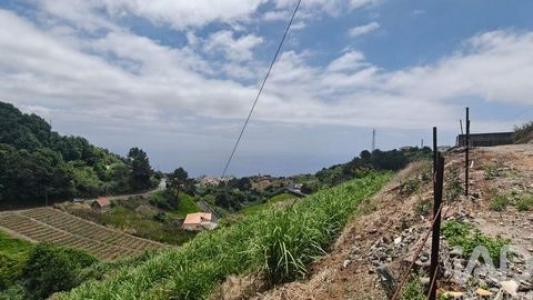 Annonce Vente Maison Ponta-do-sol