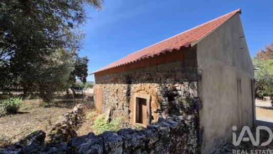 Vente Maison Alcanena  14 au Portugal