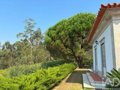 Acheter Maison Vila-verde r�gion COIMBRA