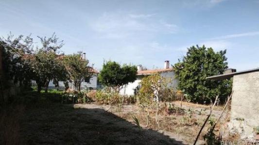 Annonce Vente Maison Oliveira-do-hospital