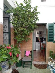 Acheter Maison 91 m2 Loule