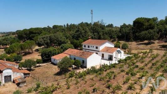 Acheter Maison 738 m2 Tomar