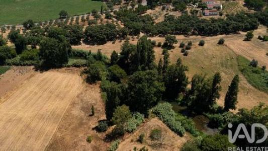 Acheter Maison Tomar r�gion SANTAREM