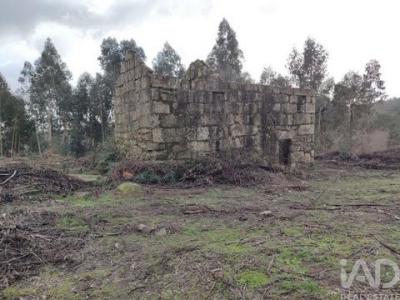 Acheter Maison Marco-de-canaveses r�gion PORTO