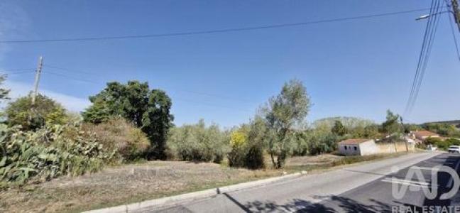 Vente Maison Rio-maior  14 au Portugal