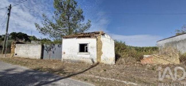 Acheter Maison Rio-maior r�gion SANTAREM