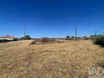 Acheter Maison Torres-vedras r�gion LISBOA