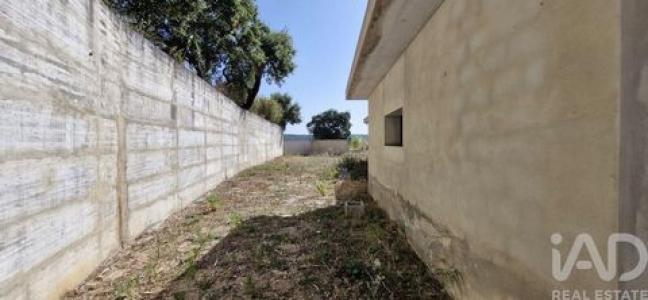 Acheter Maison Rio-maior r�gion SANTAREM