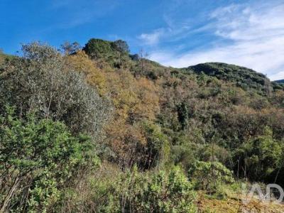 Annonce Vente Maison Porto-de-mos