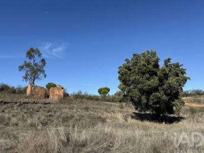 Annonce Vente Maison Portel