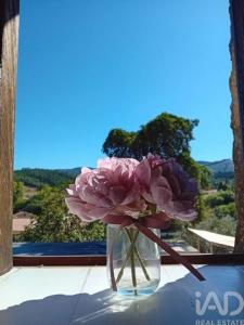 Acheter Maison Penela r�gion COIMBRA