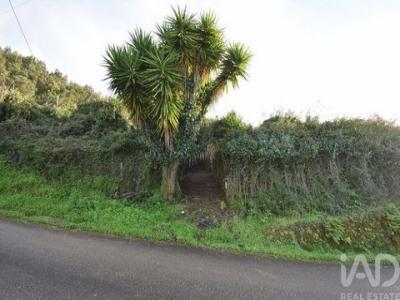 Acheter Maison Penela r�gion COIMBRA